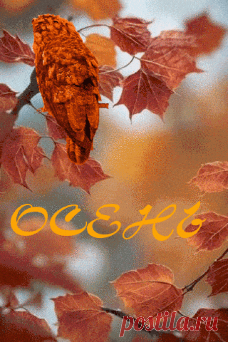 Осень