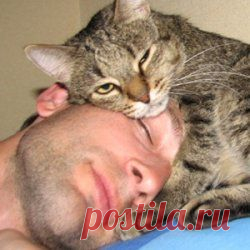 Зачем кошки спят на человеке - Популярные новости сегодня