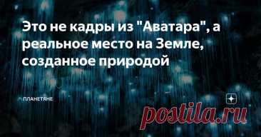 Это не кадры из "Аватара", а реальное место на Земле, созданное природой Статья автора «Планетяне» в Дзене ✍: Привет, мои дорогие любители необычной природы нашей планеты. Сегодня наш выпуск, посвящён месту, поистине неземному.