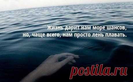 СОХРАНИТЬУстановить себе