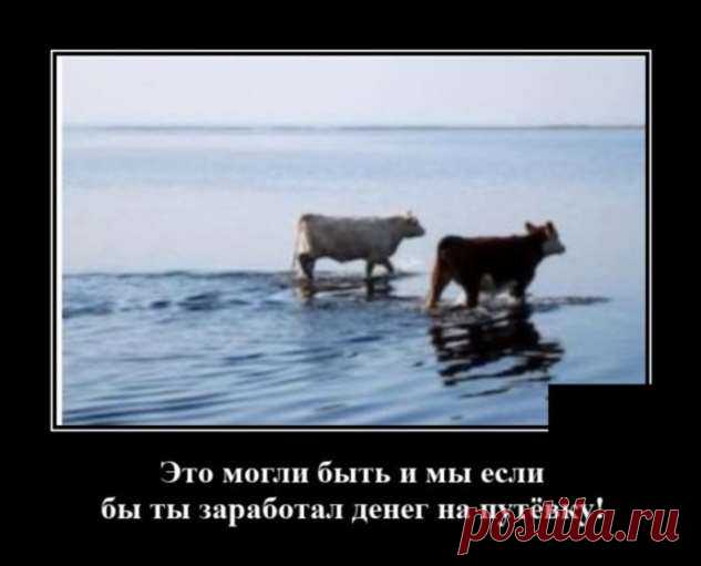 Демотиваторы №2422 (20 фото) . Тут забавно !!!