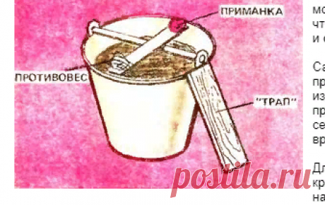 Самодельная ловушка для крыс, простая идея