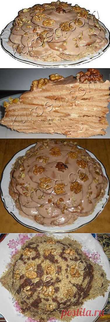 РЕЦЕПТЫ | Торт "Черепаха"