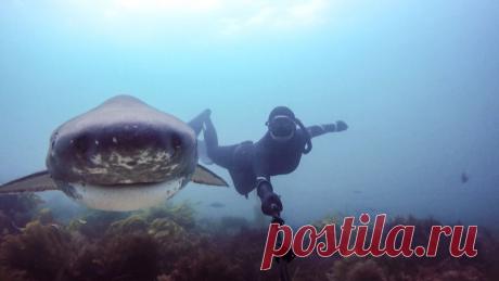 Блог - аквалангист Девушки