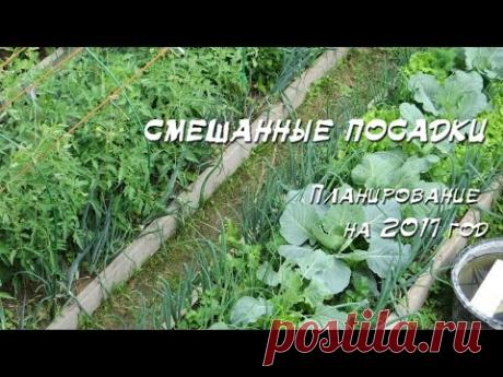 !!!

Планирование посадок на 2017 год (открытый грунт) - YouTube