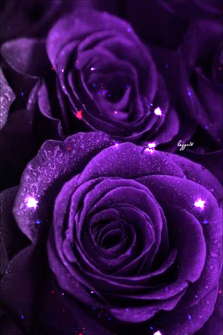 хх