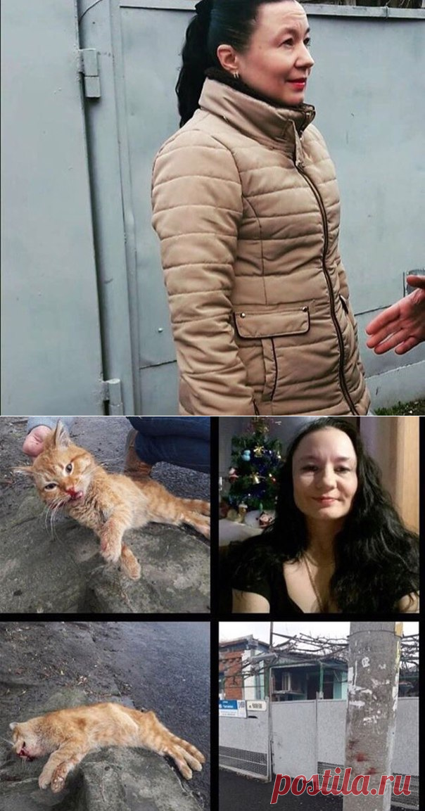 ВСЕРОССИЙСКАЯ АКЦИЯ ЗАКОН НУЖЕН СЕЙЧАС