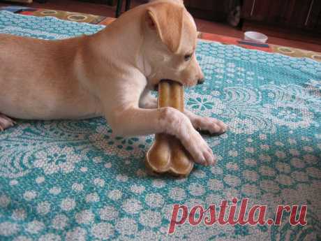 Всё равно я тебя съем...