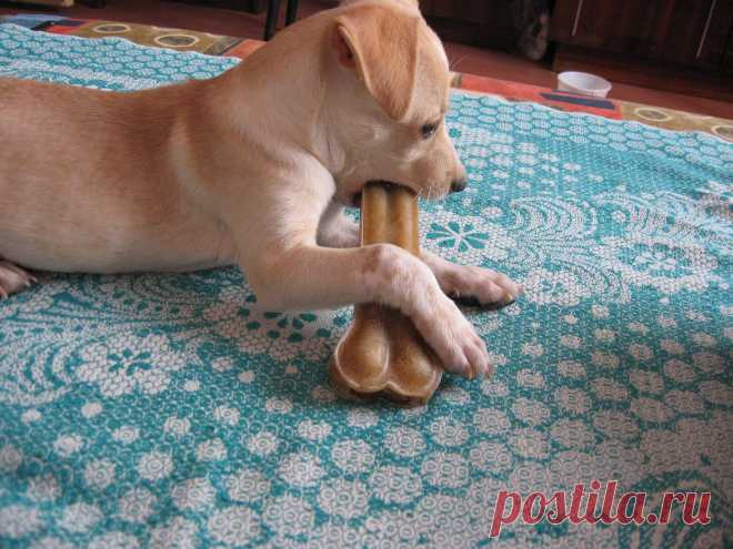 Всё равно я тебя съем...