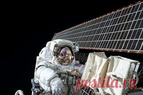 Астронавты НАСА впервые выйдут в открытый космос после российской утечки. Астронавты НАСА впервые выйдут в открытый космос после утечки на модуле «Наука» российского сегмента Международной космической станции (МКС). Об этом сообщает американское космическое агентство. Выход астронавтов Жасмин Могбели и Лорал О'Хара из шлюза Quest должен начаться сегодня в 15:05 по московскому времени.
