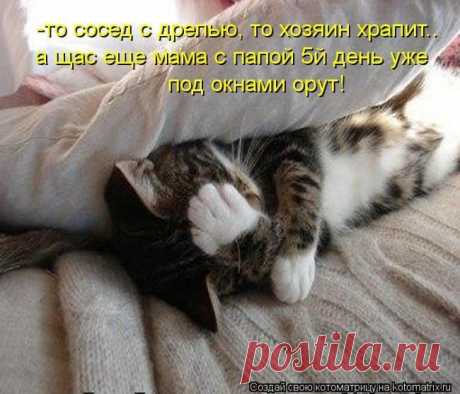 Привет, дядя Степа | KotoMail.ru