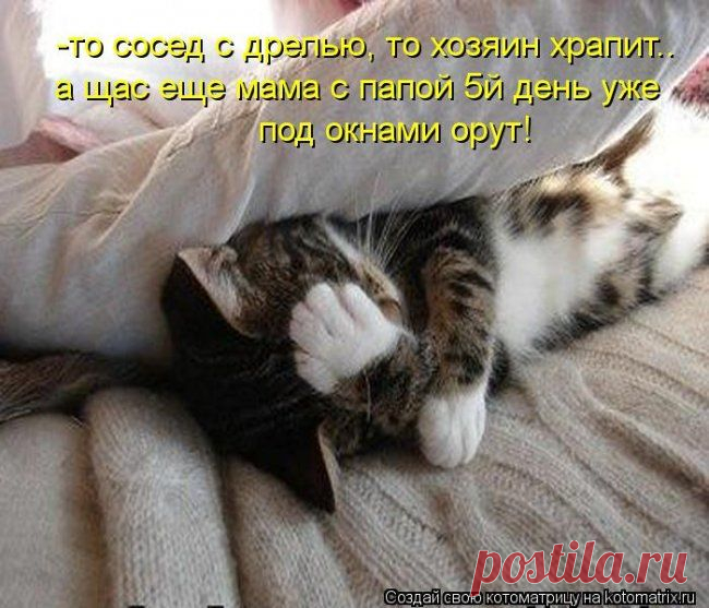 Привет, дядя Степа | KotoMail.ru