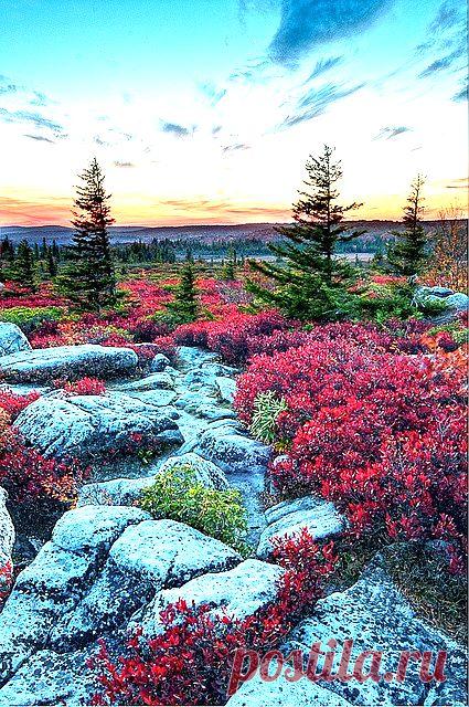 Ally Warner приколол(а) это к доске Oh the Places You'll Go <3 | Pint…