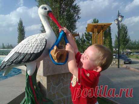 (9) Одноклассники