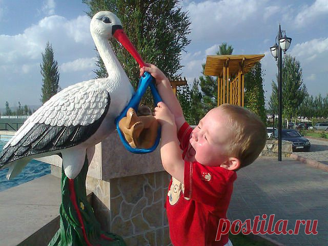(9) Одноклассники