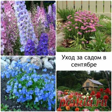 Дачные работу в саду осенью, подготовка к зиме + видео