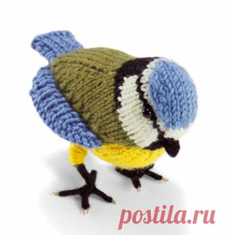 Stitchfinder : вязать мотив природы: лазоревка (птица) : часто задаваемые вопросы (FAQ) о Вязание спицами и крючком : Лев Марка Пряжа