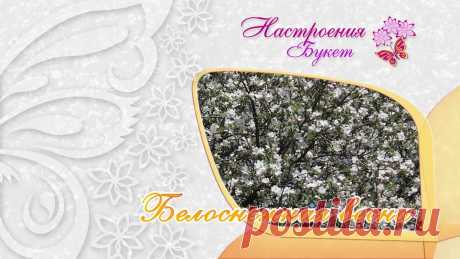 Весеннее настроение