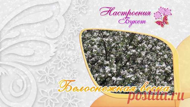 Весеннее настроение