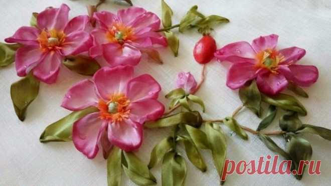 Kurdela Dünyası - Фото | Facebook