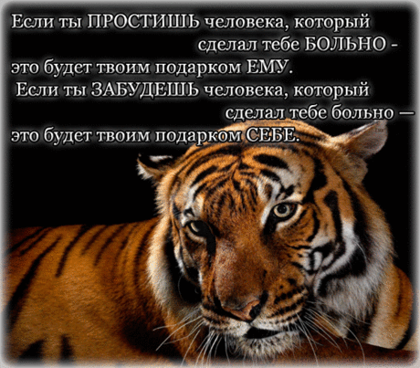 Нужно прощать&amp;#8230; | Для Социальных Сетей