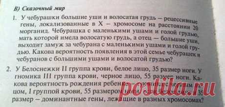 Смешные задачи по генетике• АМАДИНЫ АСТРИЛЬДЫ АМАРАНТЫ - ТРИ А