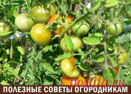 Одноклассники