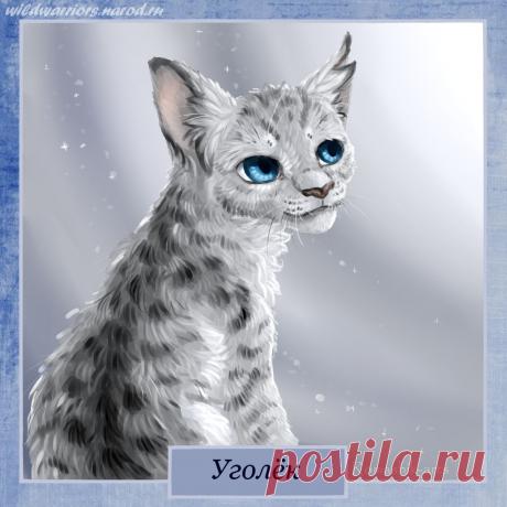 Ashfur. Warriors by Romashik-arts on DeviantArt