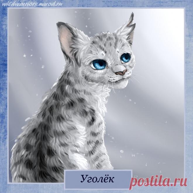 Ashfur. Warriors by Romashik-arts on DeviantArt