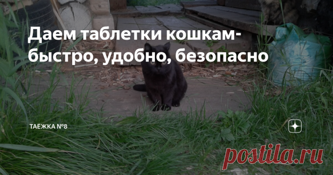 Даем таблетки кошкам- быстро, удобно, безопасно Взяли, перевернули, зафиксировали, открыли, вложили, закрыли, облизнулись, следующий пациент на очереди!