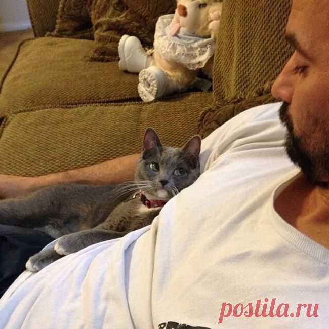 Лучшие фотографии месяца