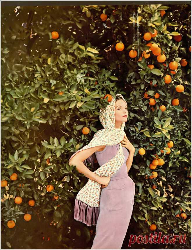 Anne St. Marie, photo by Tom Palumbo, Harper's Bazaar, November 1954