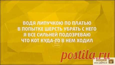 Мега прикольные открытки / Картинки: Приколы