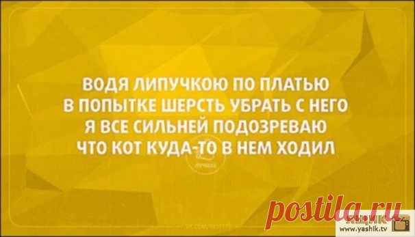 Мега прикольные открытки / Картинки: Приколы