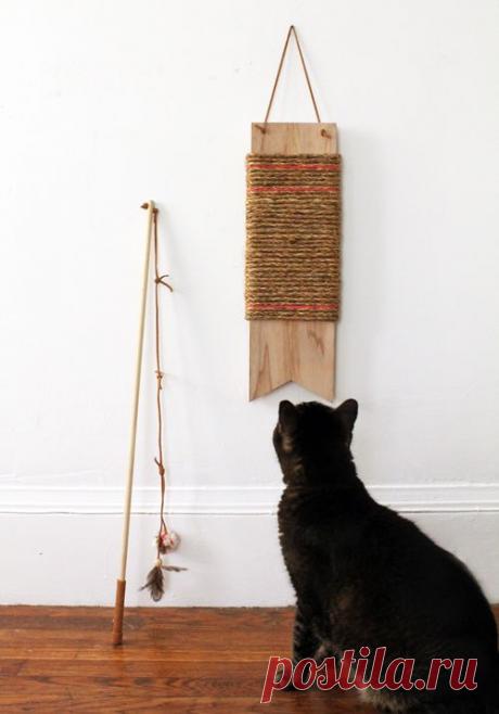 Кошачьи игрушки