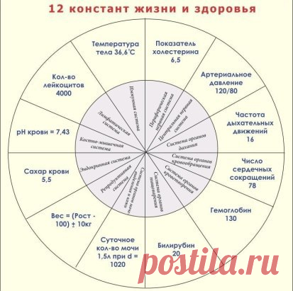 Alexandr: Ничему не удивляться и никогда не волноваться.Есть, чтобы жить, а не жить, чтобы есть