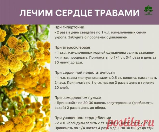 z_B61veu4_Y.jpg (1194×993)