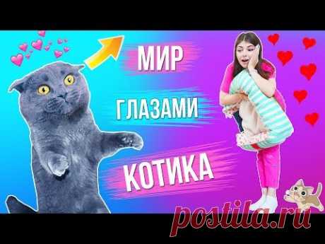 МИР ГЛАЗАМИ КОТИКА | 3 часть
