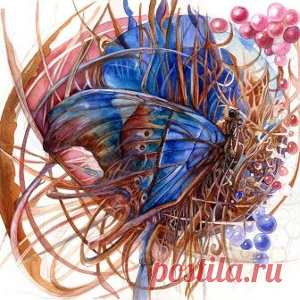 Сегодня, целый день сканировала работы. Все, что давно требовало оцифровки, наконец, оцифровано, но как же это нудно и скучно, хитрым образом засовывать в сканер большие листы и альбомы, потом все это склеивать в фотошопе, чистить, выравнивать:( Эх! Рисовать, все-таки намного веселее! А вы любите техническую сторону процесса? • #butterfly #drawing #watercolor #workplace #workprocess