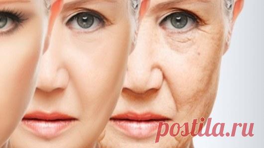 Ученые назвали главную причину старения и 8 способов его замедлить » NewsMedik - Новости медицины