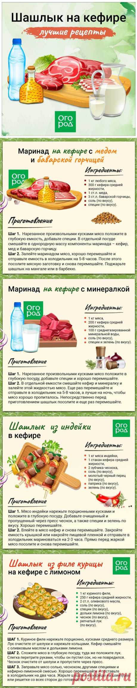 Шашлык на кефире (лучшие рецепты)