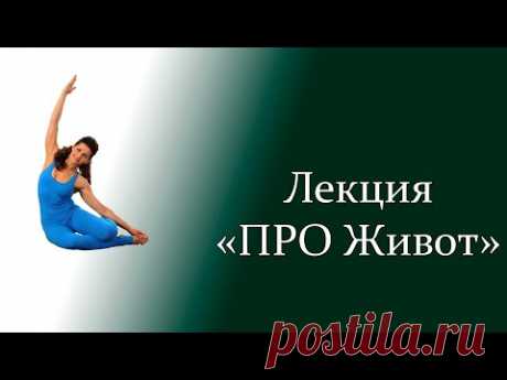 Почему выпячивается живот и что делать