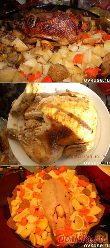 &quot;запеченная кряква с овощами&quot; - Простые рецепты Овкусе.ру