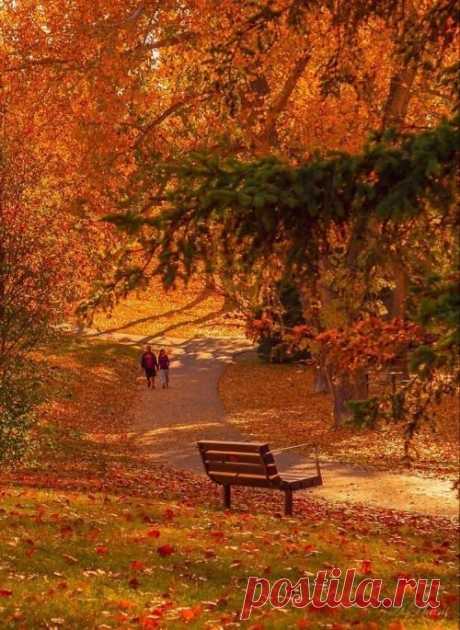 Always Autumn 🍂