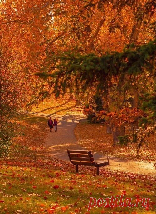 Always Autumn 🍂