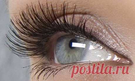 Новости /Бальзам для ресниц. Через 2 месяца использования хлопаем ресницами и взлетаем/