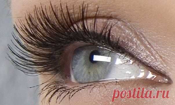 Новости /Бальзам для ресниц. Через 2 месяца использования хлопаем ресницами и взлетаем/