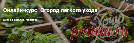 Доступно - [ХочуХобби] Огород легкого ухода (Татьяна Чернова) | Складчина
