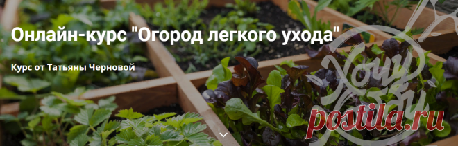 Доступно - [ХочуХобби] Огород легкого ухода (Татьяна Чернова) | Складчина