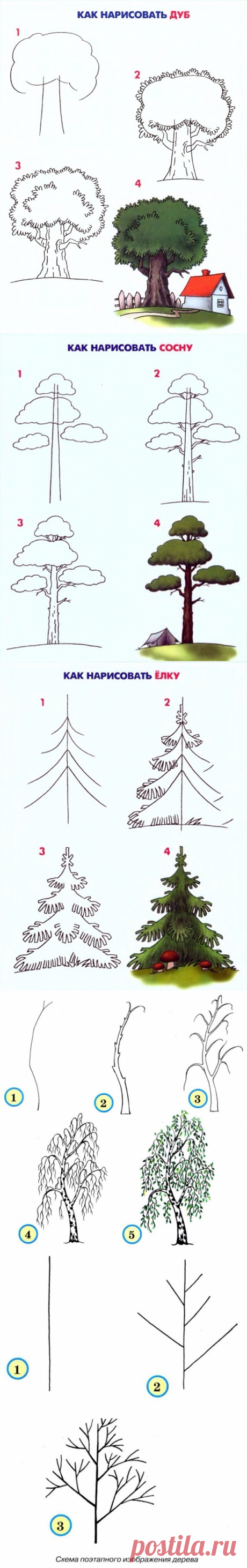 (60) Одноклассники